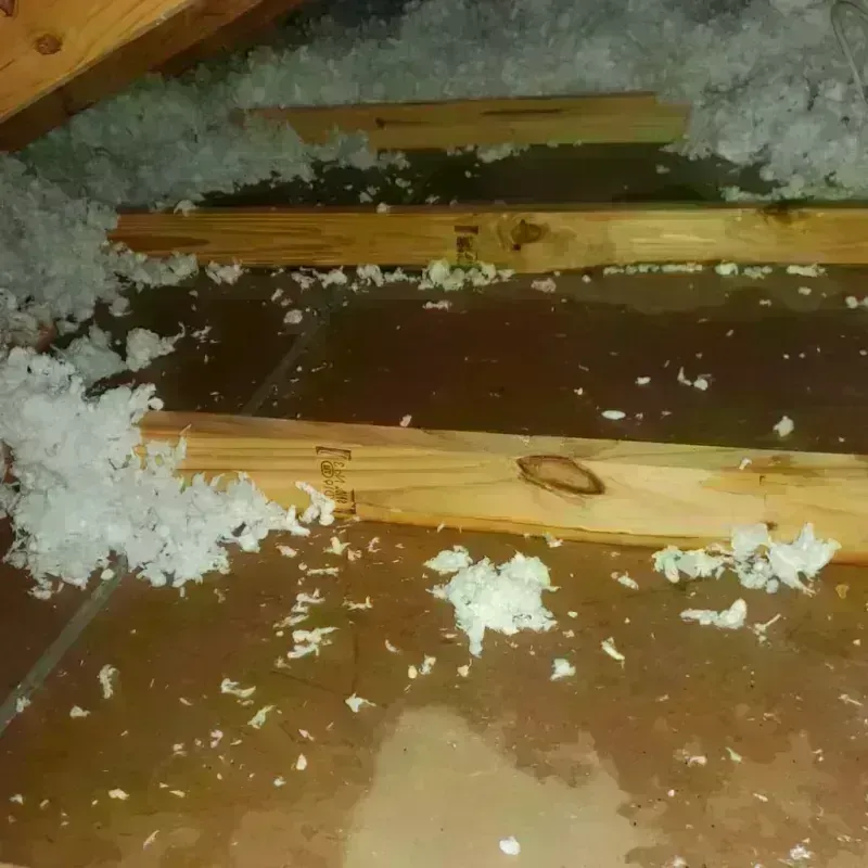 Attic Water Damage in Granger, IN